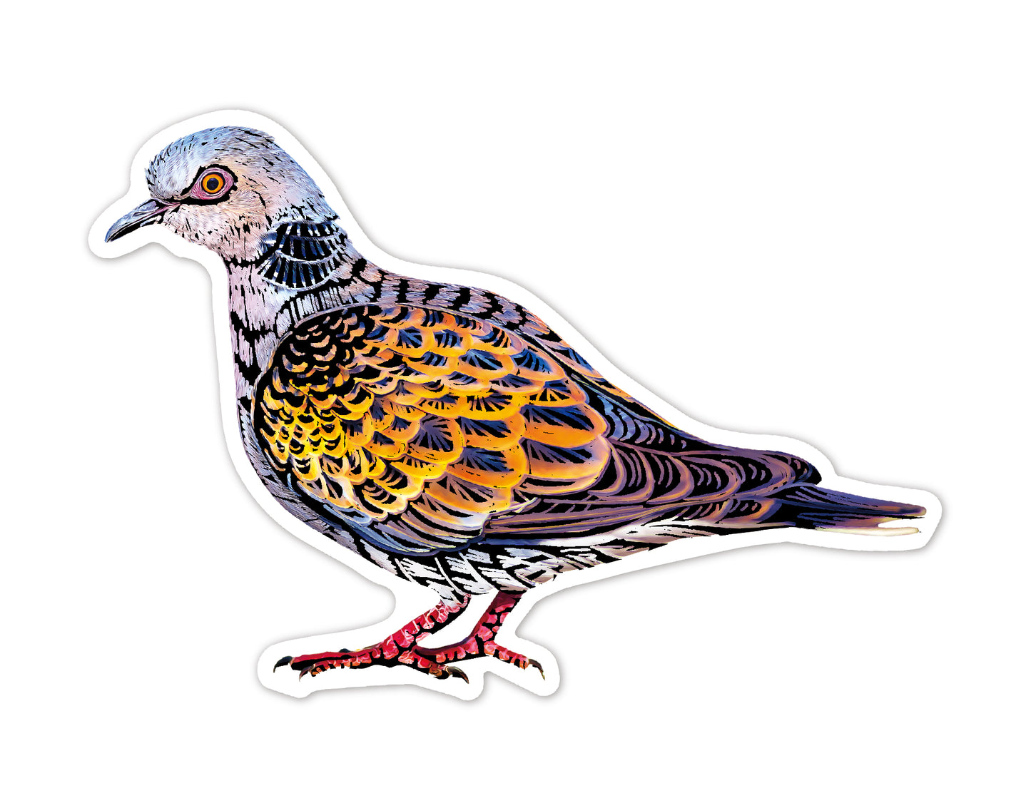 Scratch Bird Stickers