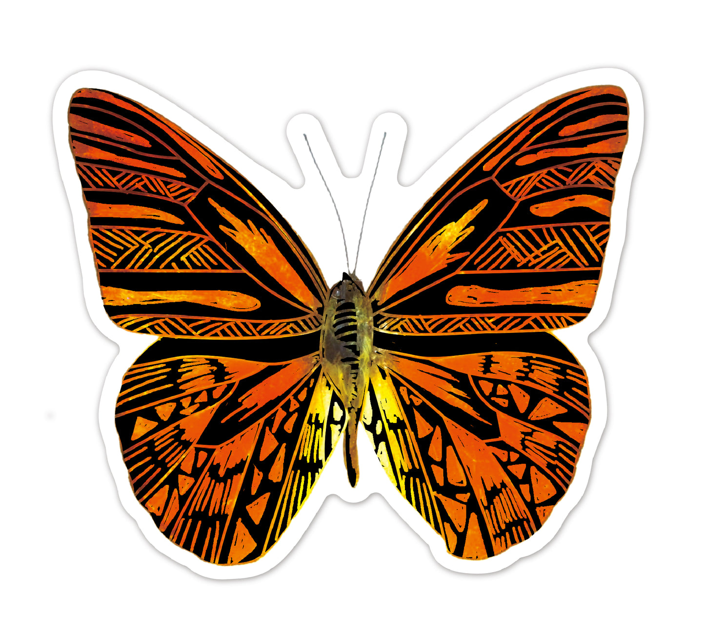 Scratch Butterfly Stickers