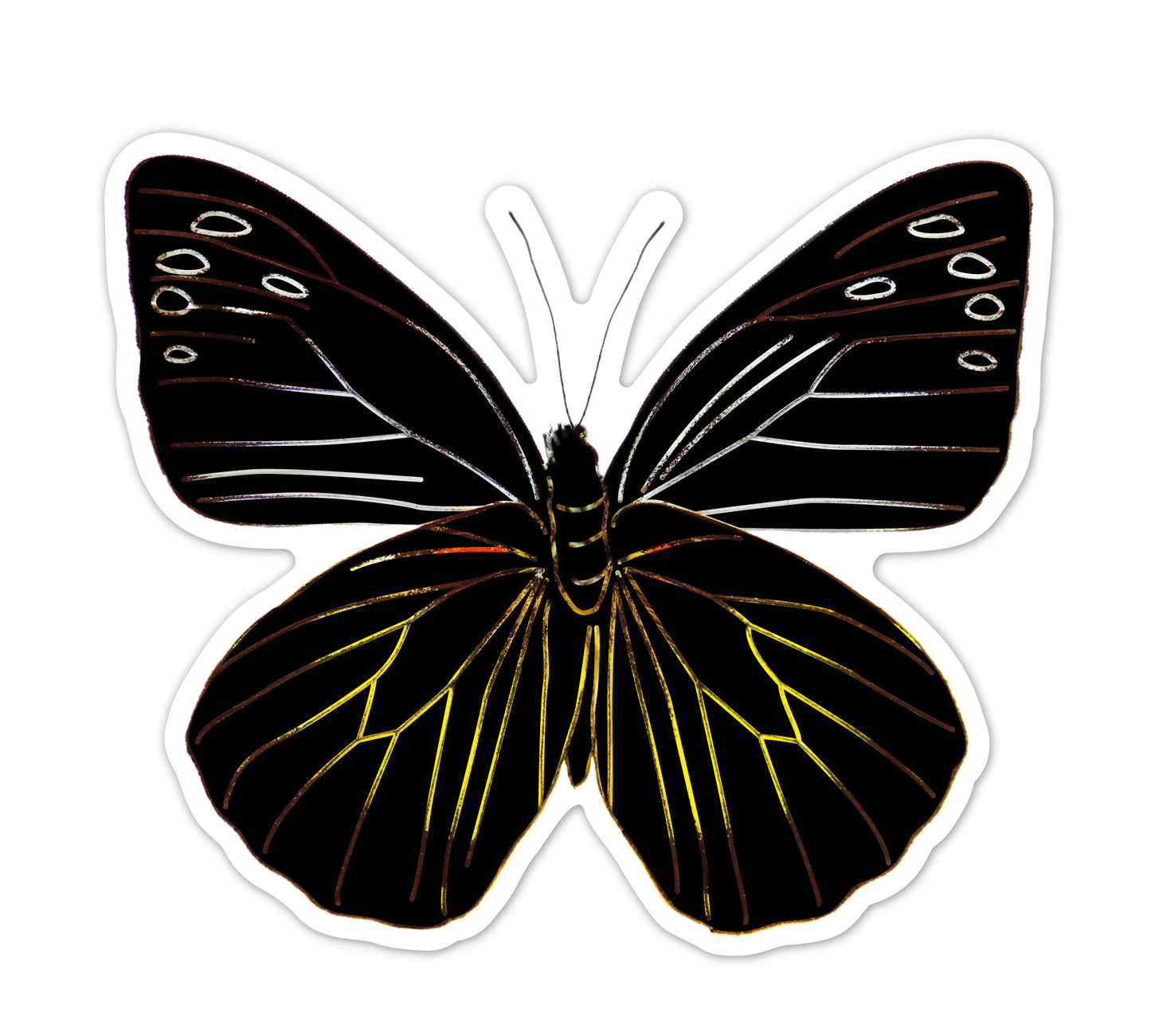 Scratch Butterfly Stickers