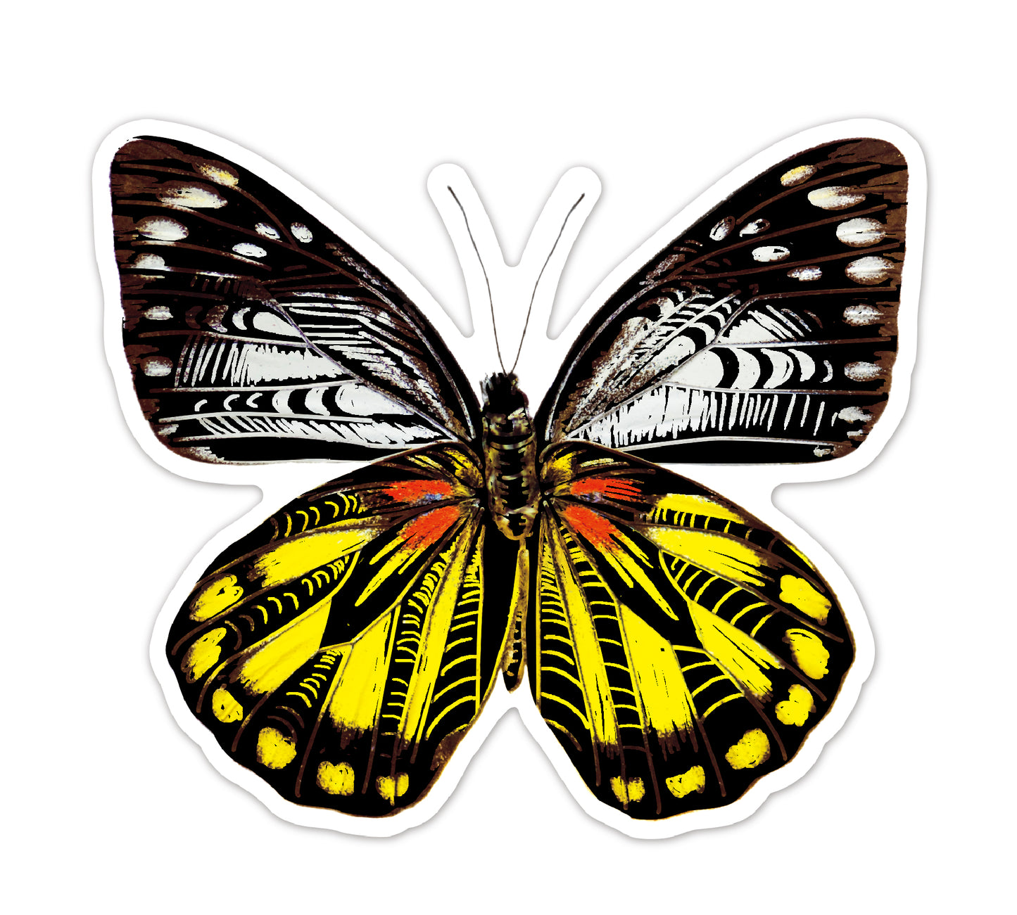 Scratch Butterfly Stickers