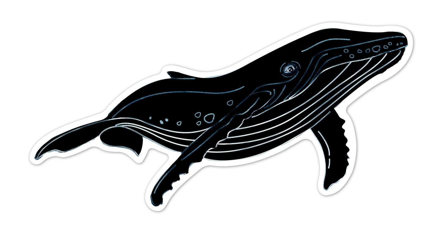 Scratch Sea Animal Stickers