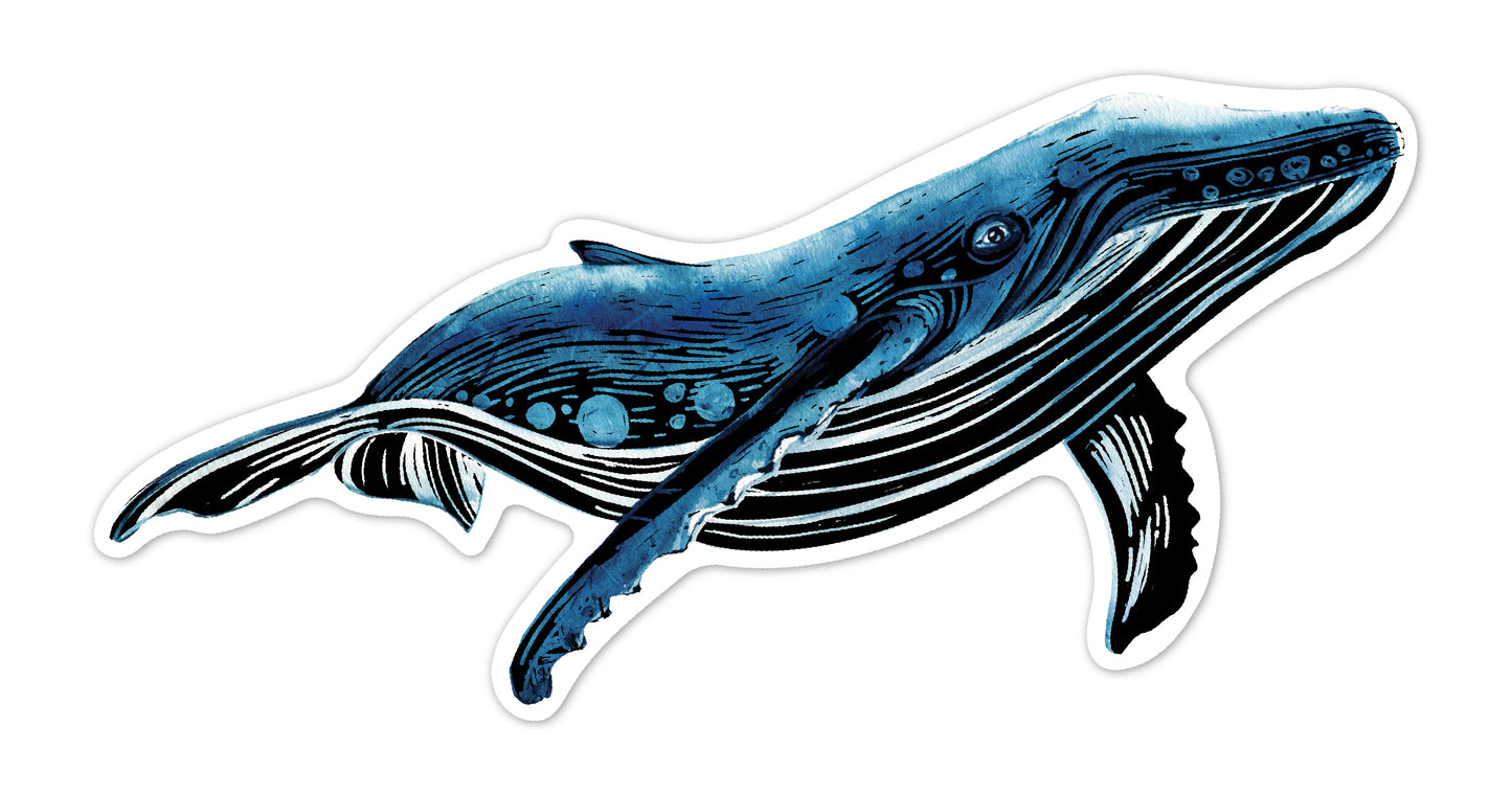 Scratch Sea Animal Stickers