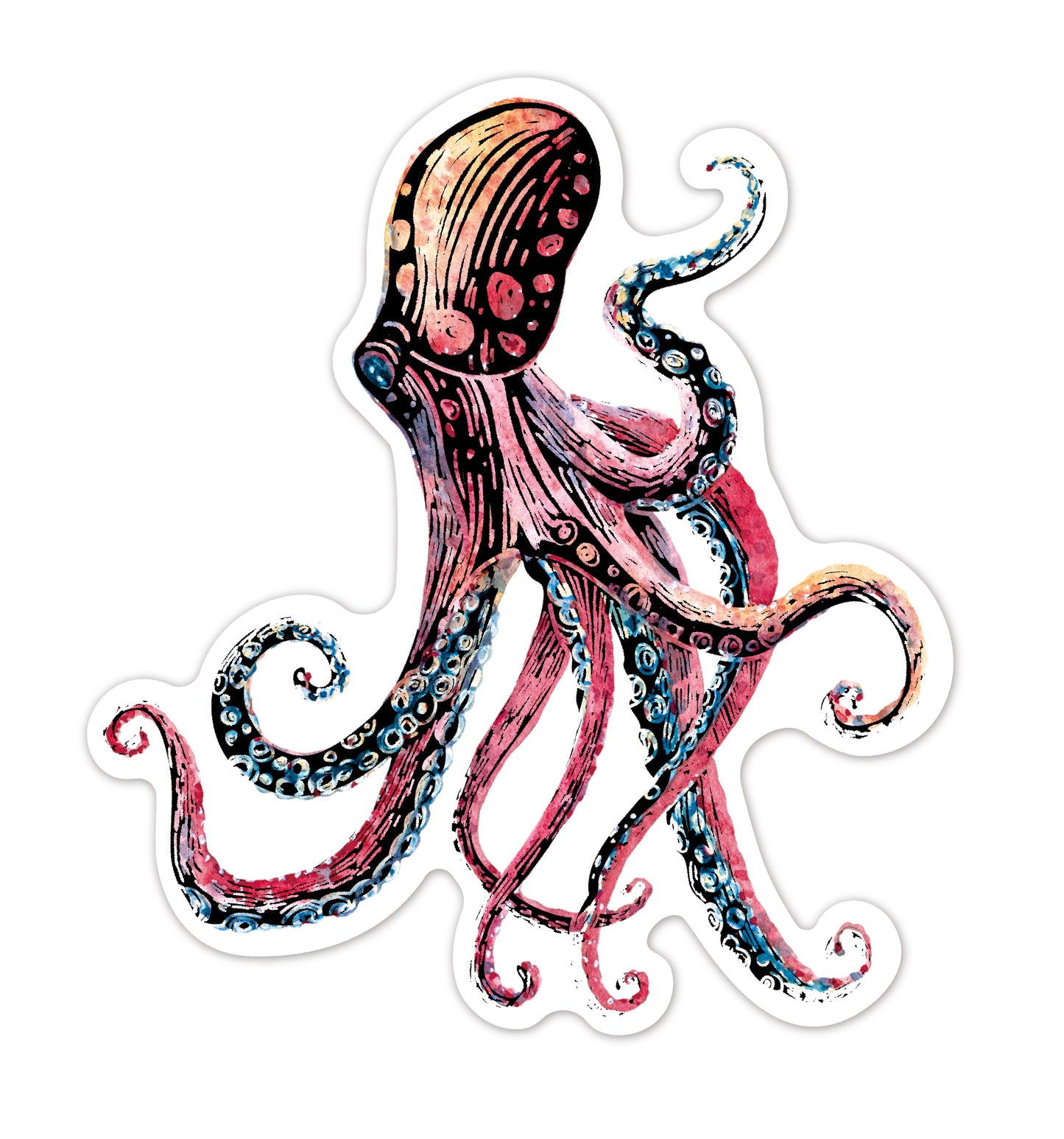 Scratch Sea Animal Stickers