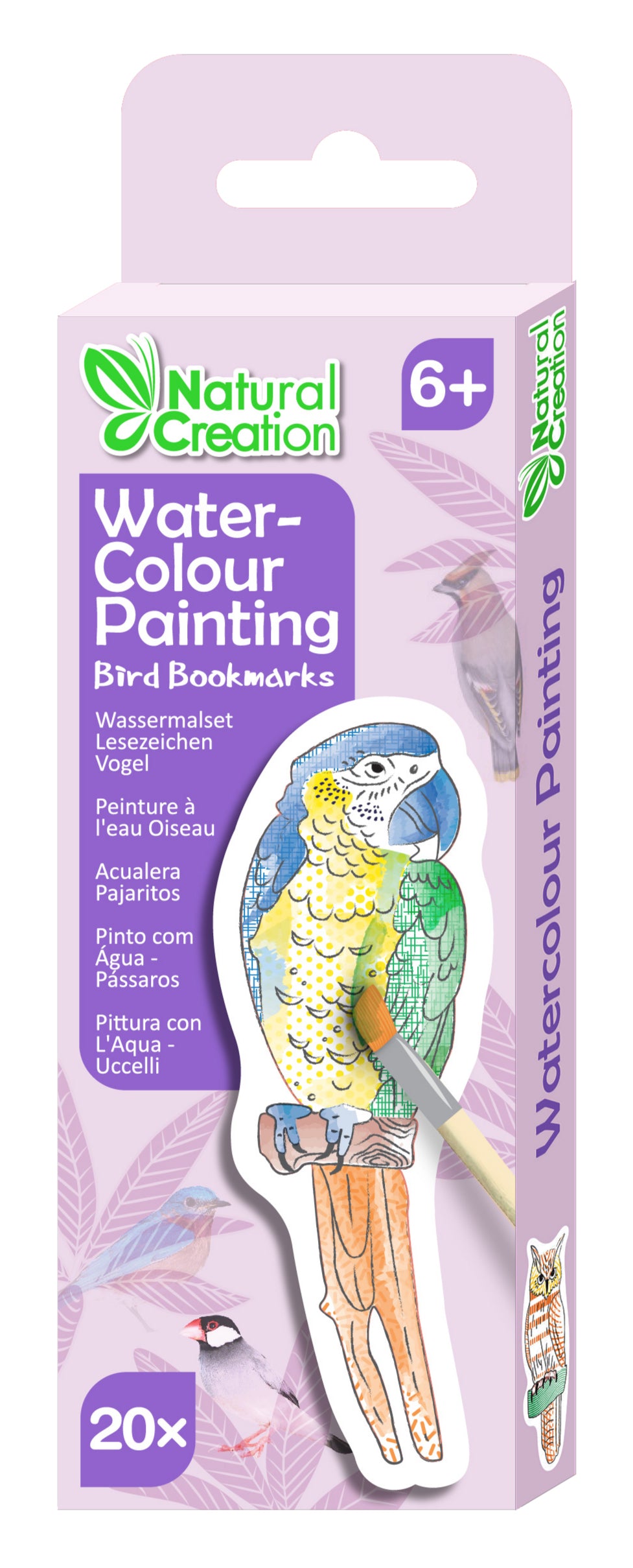 Watercolour Painting Bird