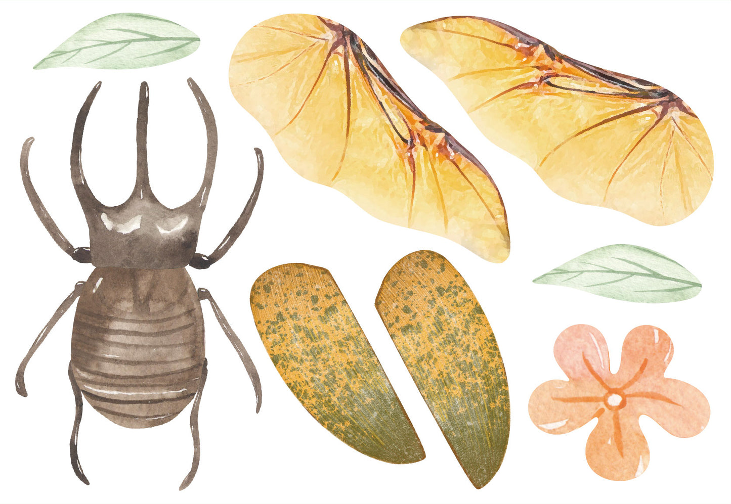 Create My Wooden Charm Beetle