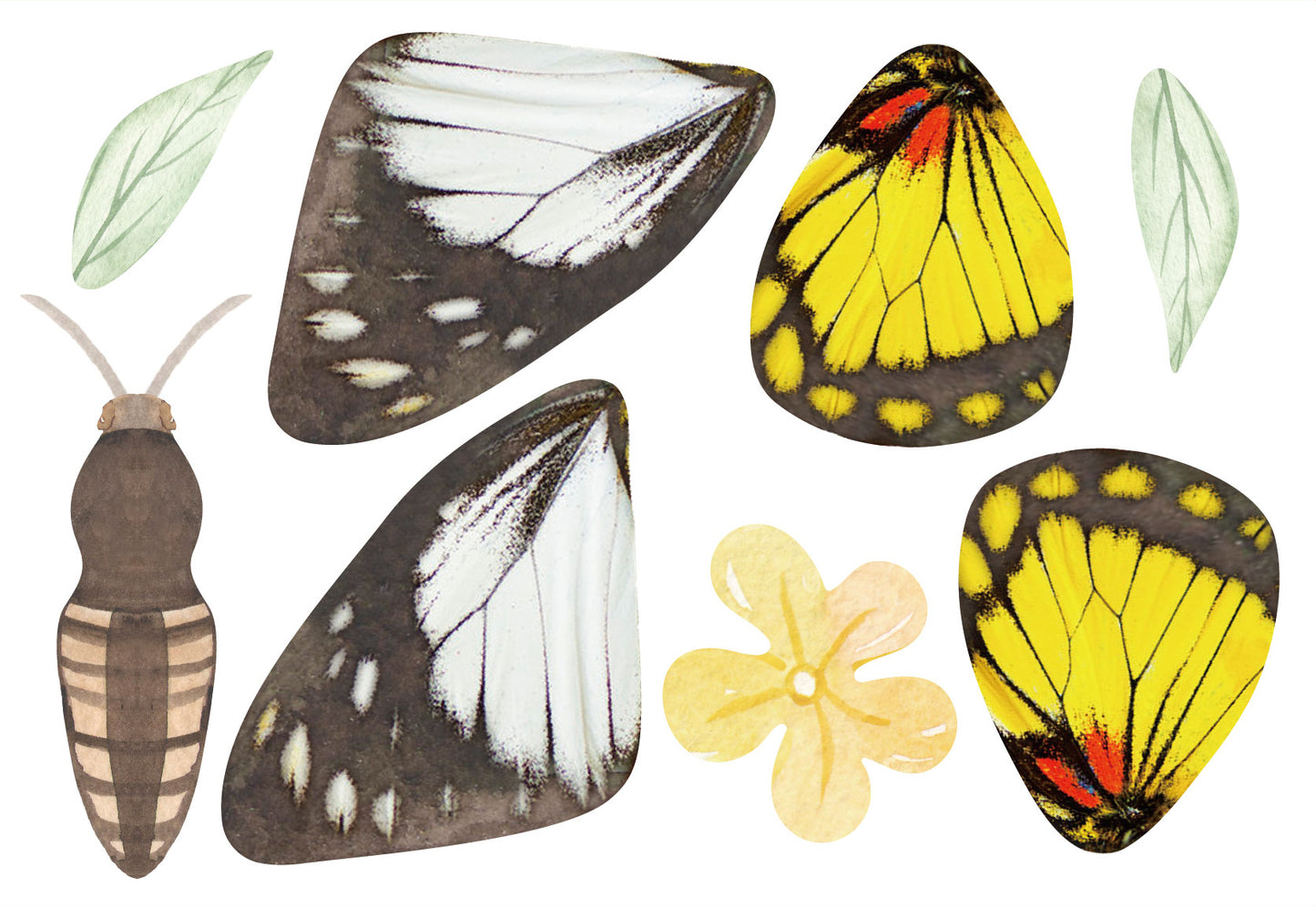 Create My Wooden Charm Butterfly