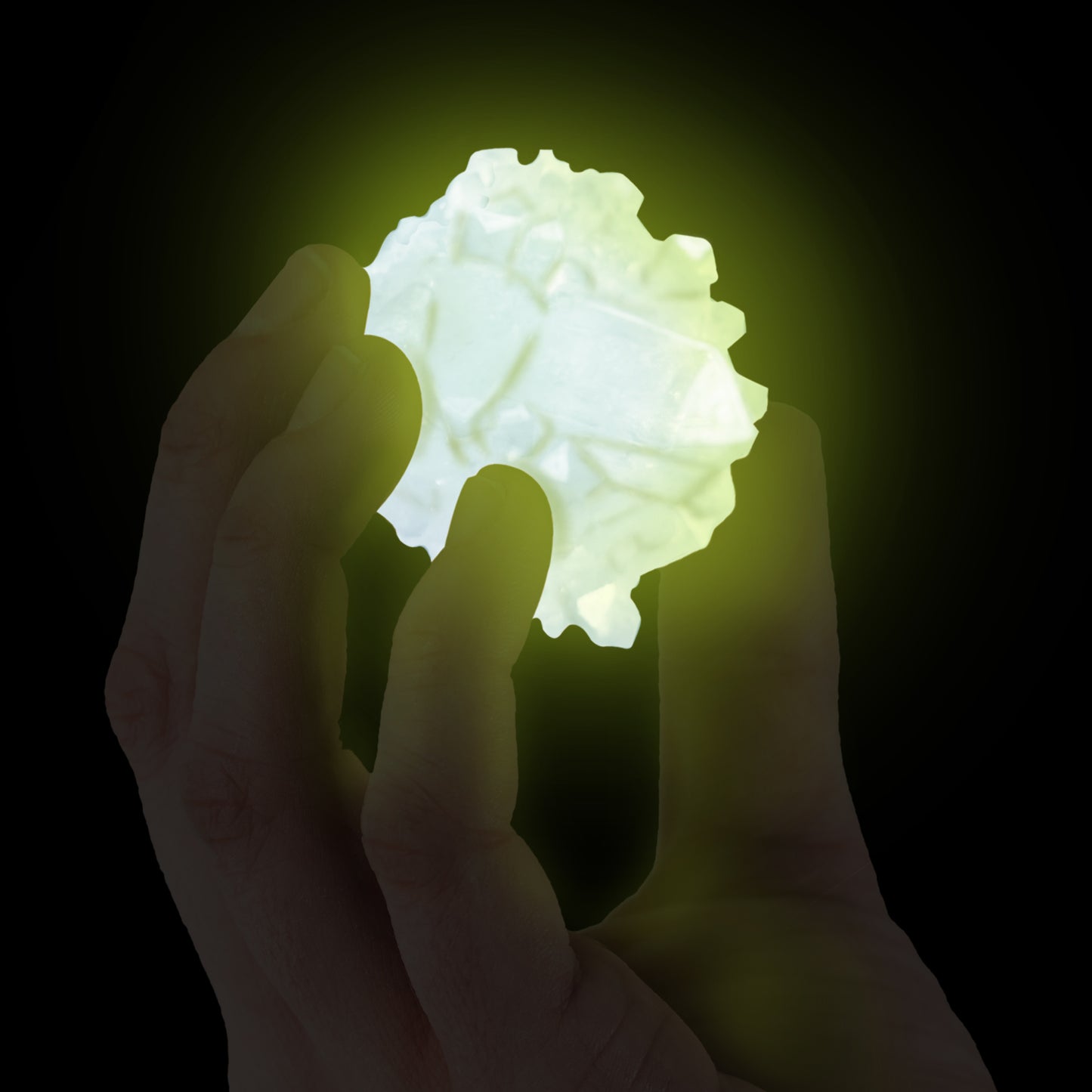 NG Glow-in-the-Dark Crystal Growing Lab
