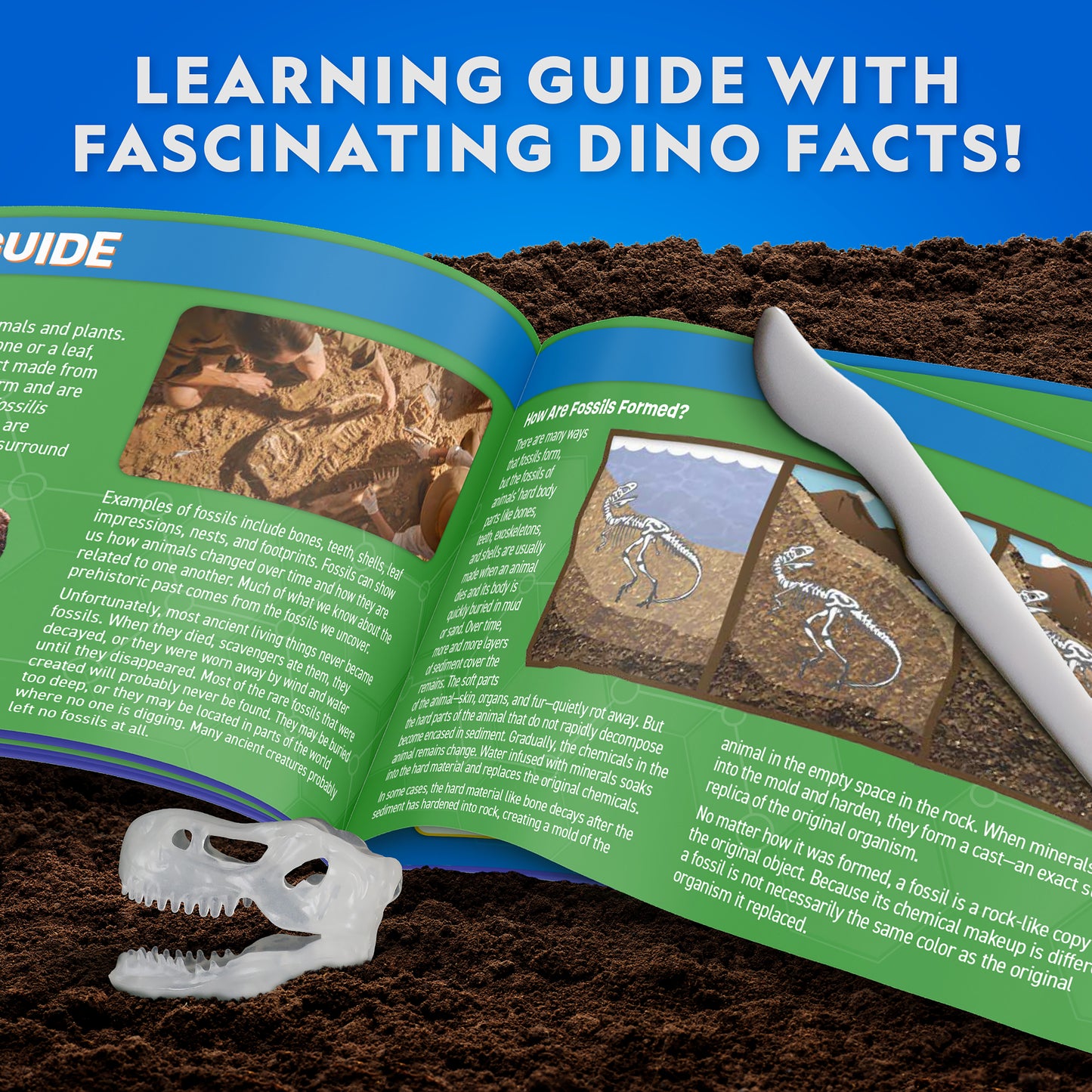 NG GID T Rex Dissection Lab