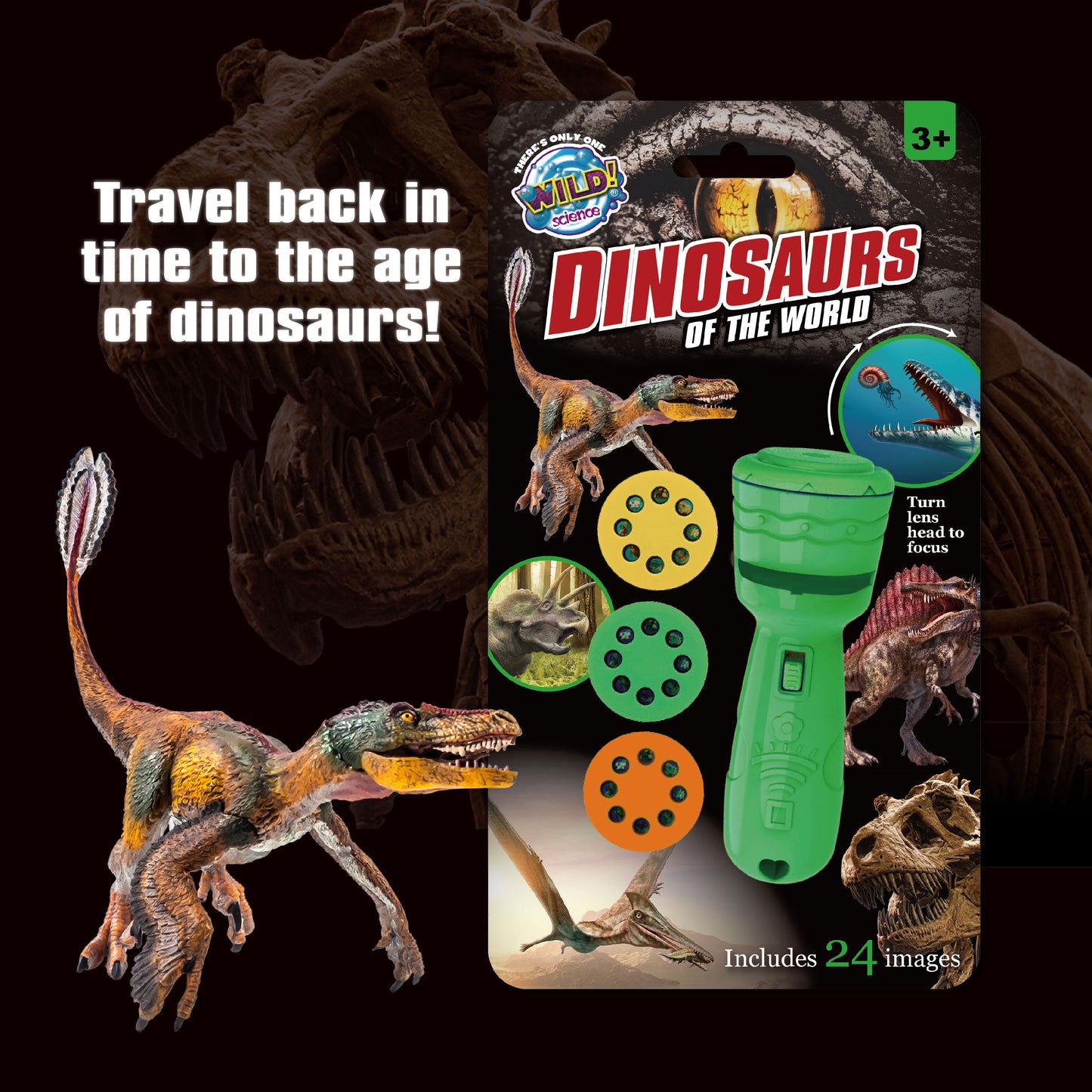 Dinosaurs Torch Projector