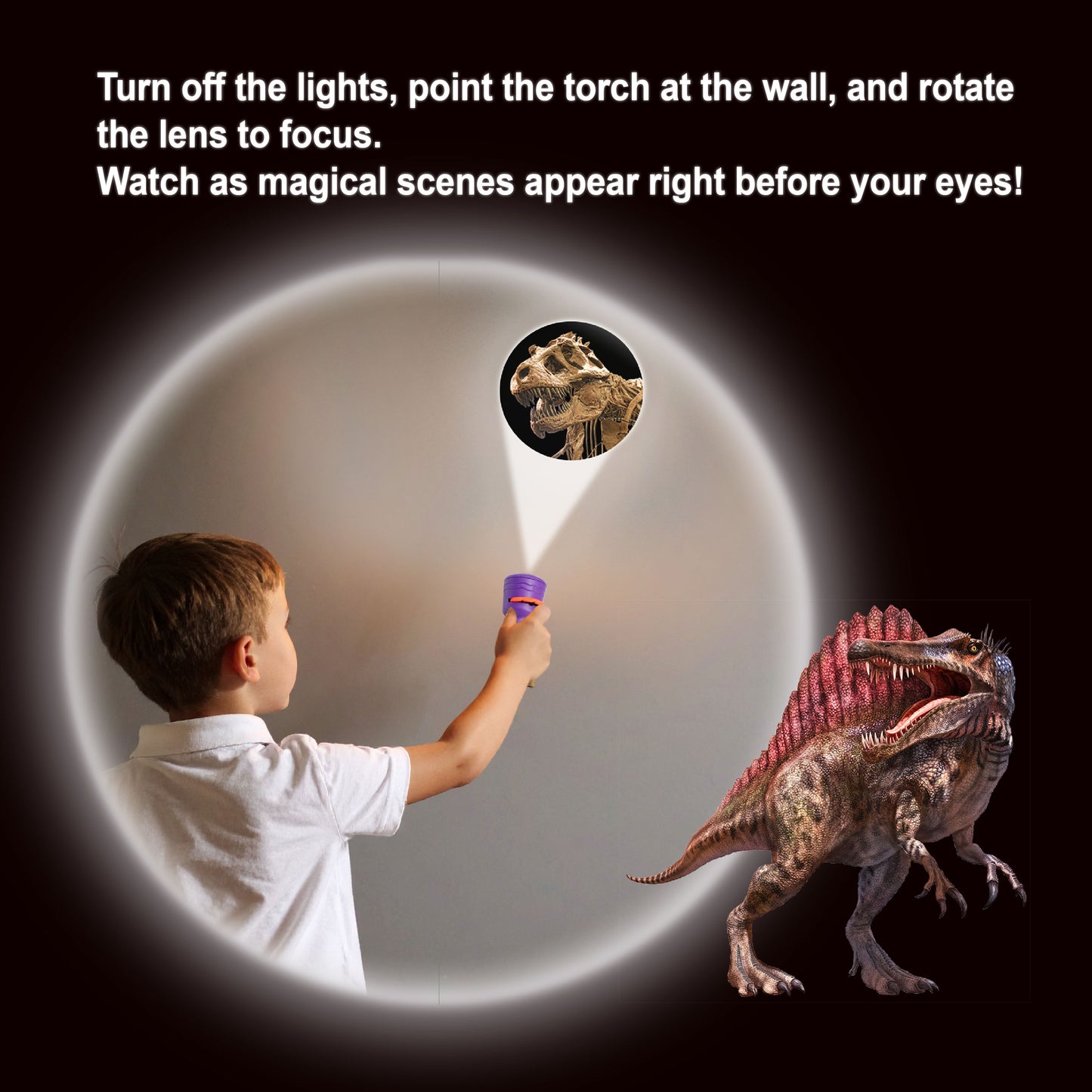 Dinosaurs Torch Projector