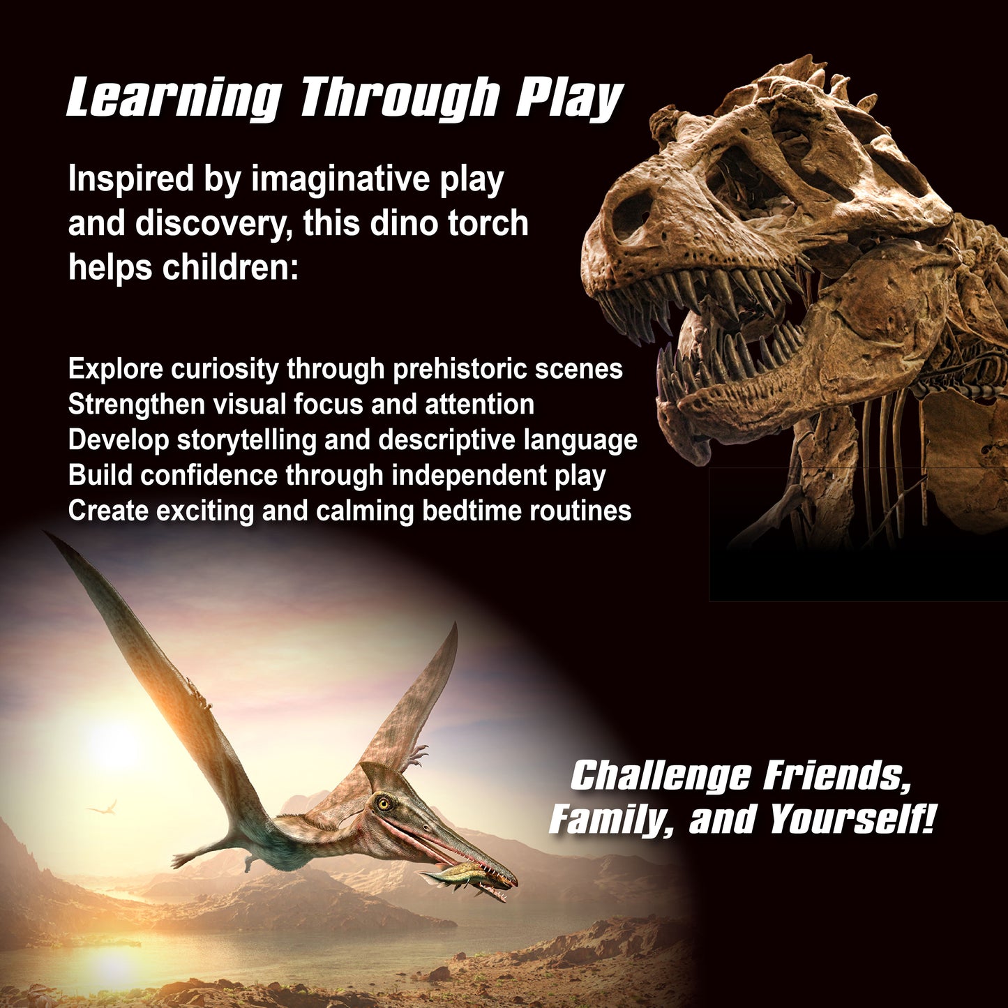 Dinosaurs Torch Projector