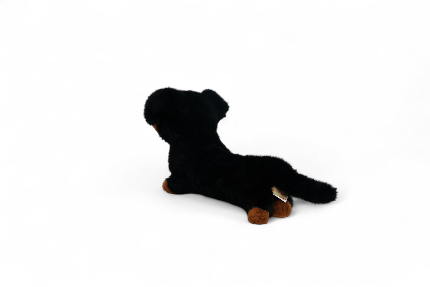 One Love Pumpkin Dachshund - 40cm