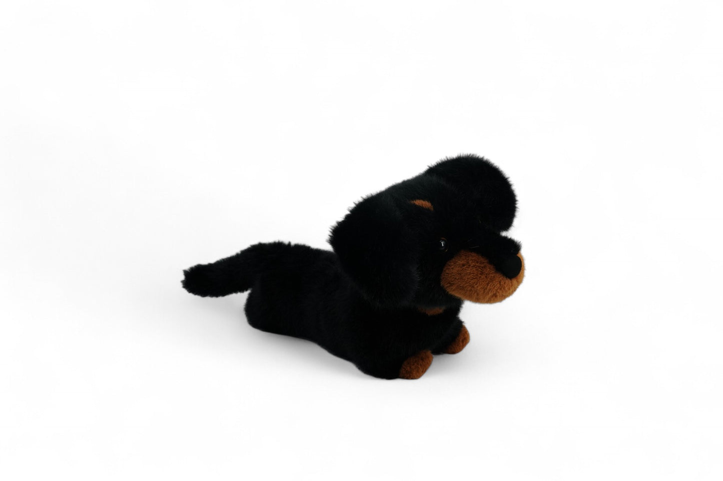One Love Pumpkin Dachshund - 40cm