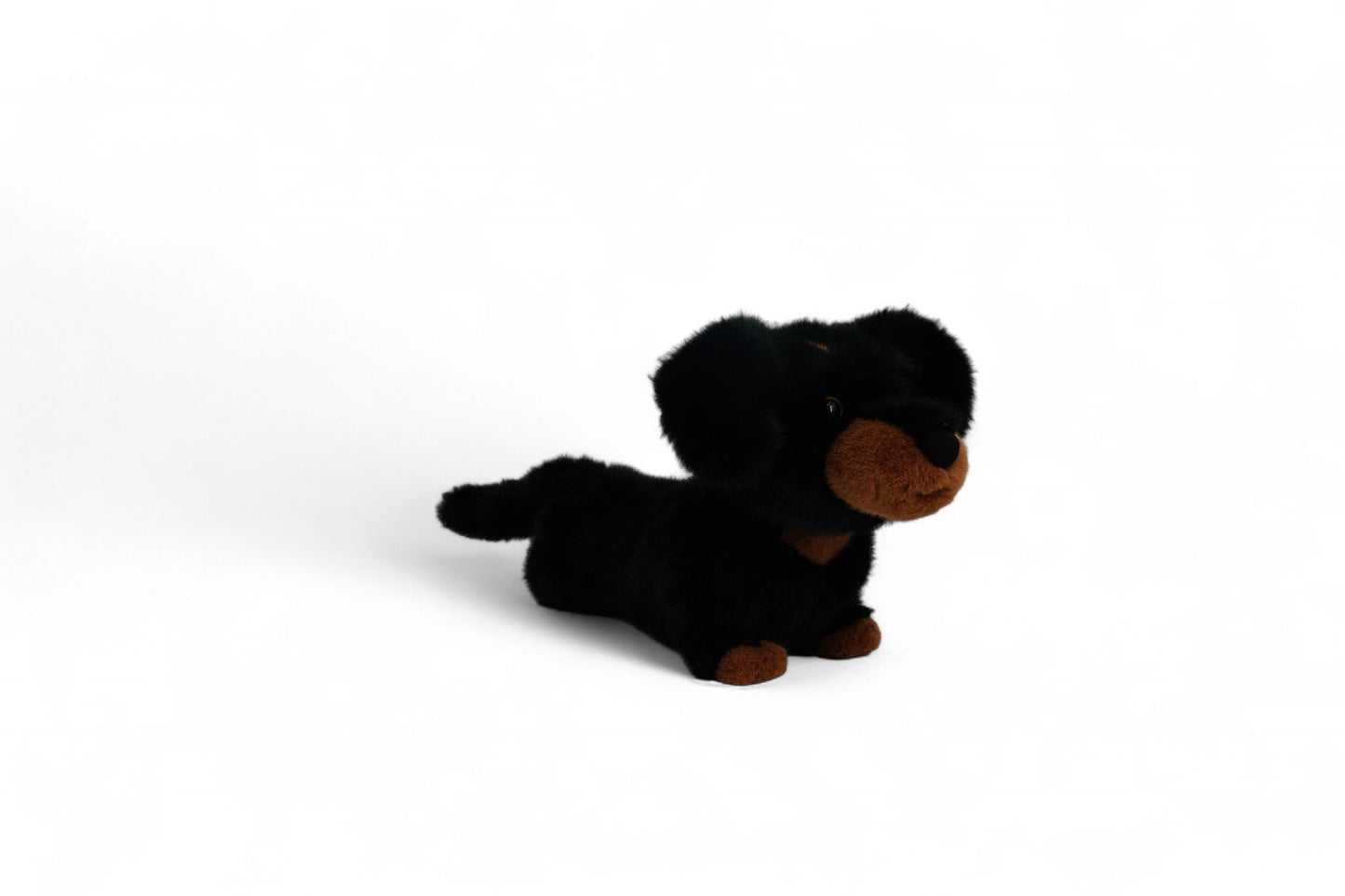 One Love Pumpkin Dachshund - 40cm