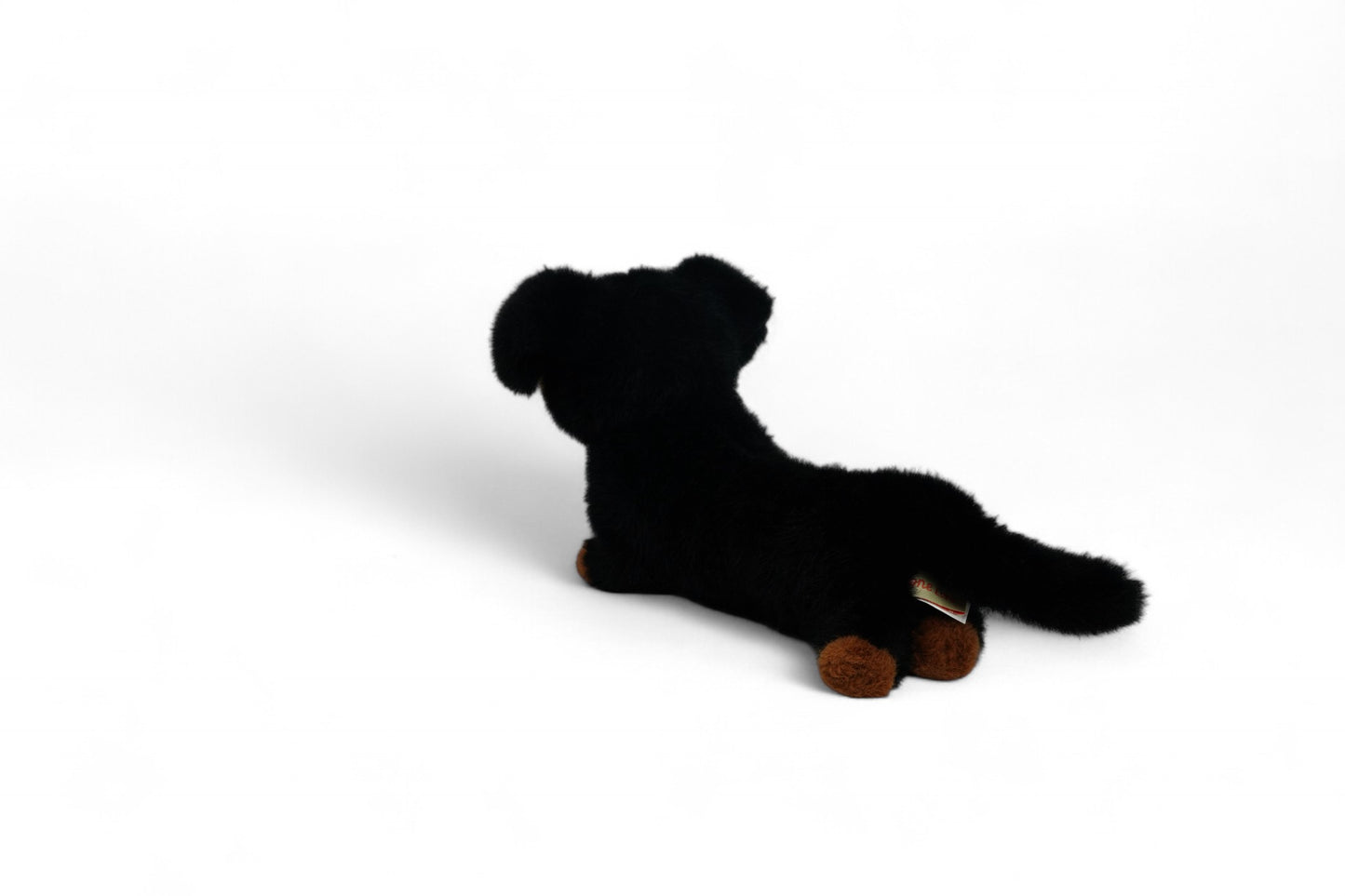 One Love Pumpkin Dachshund - 40cm