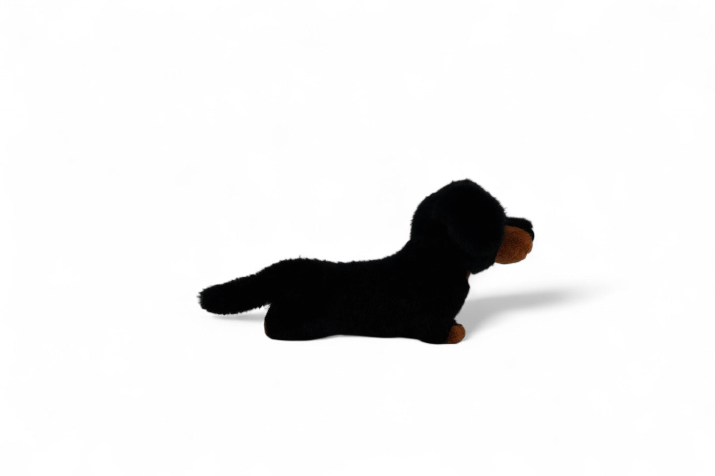 One Love Pumpkin Dachshund - 40cm