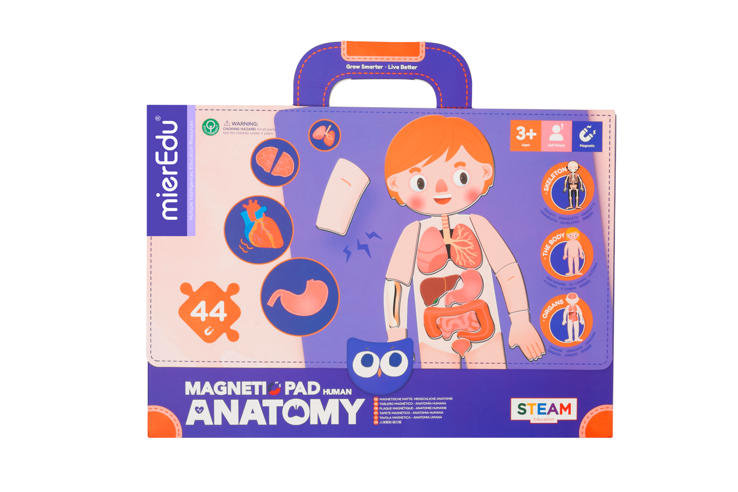 ME Magnetic Pad - Human Anatomy