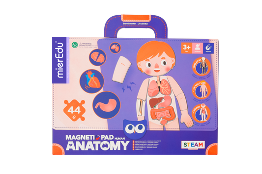ME Magnetic Pad - Human Anatomy