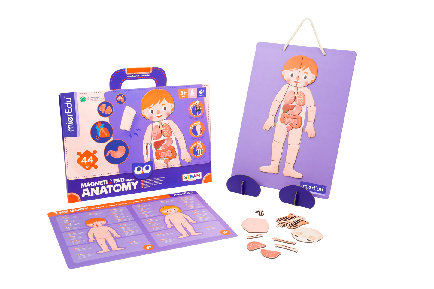ME Magnetic Pad - Human Anatomy