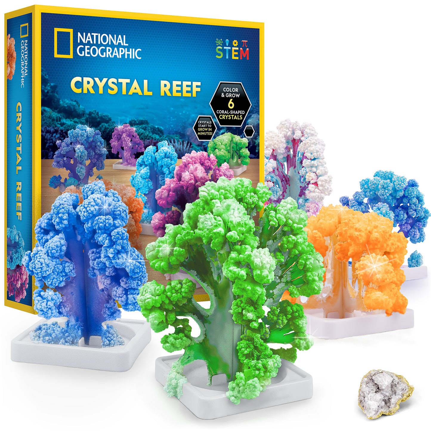 NG Crystal Reef Coral Growing Lab