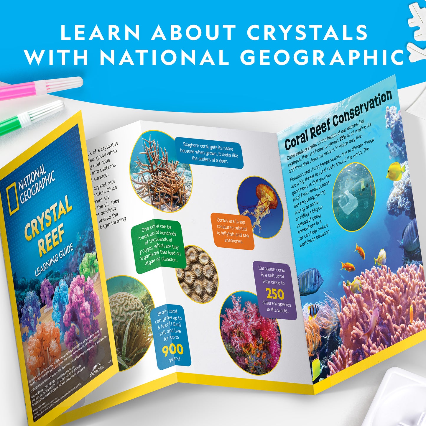NG Crystal Reef Coral Growing Lab