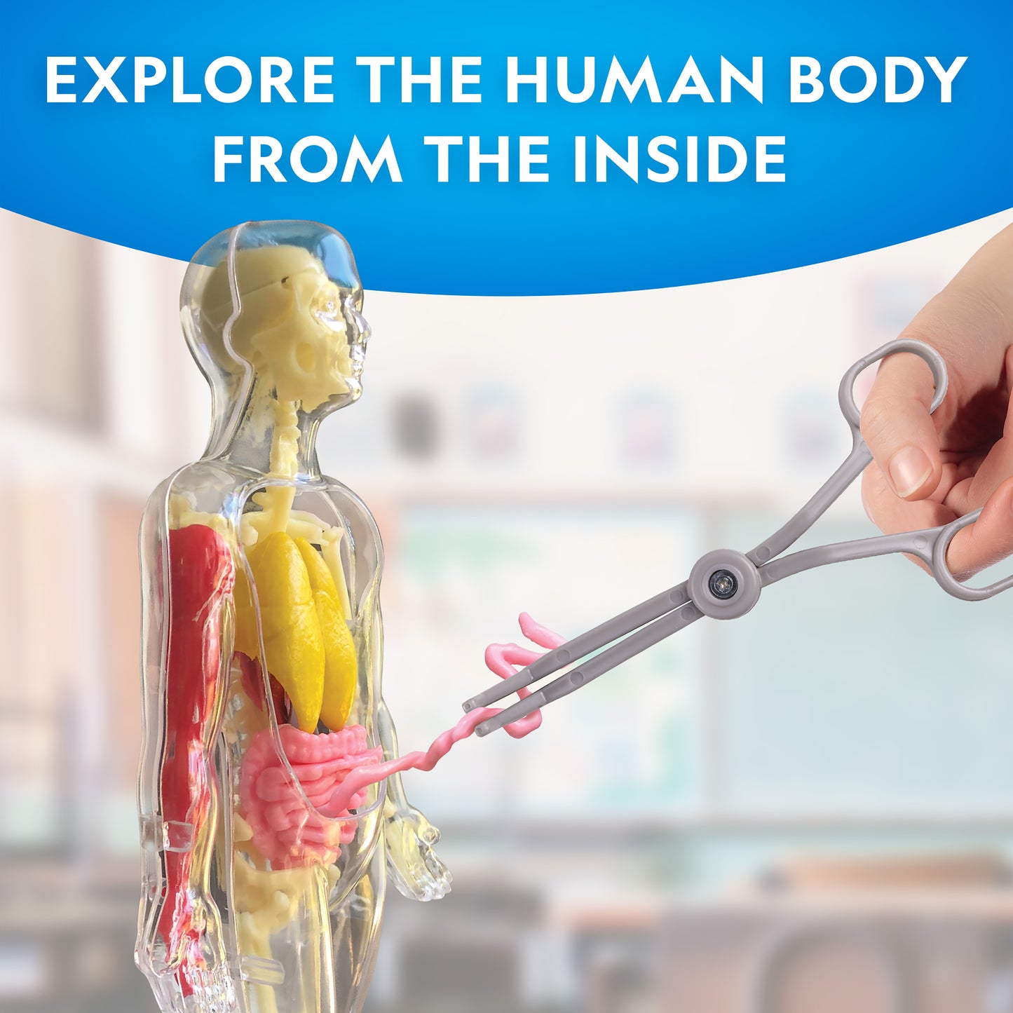 NG Human Body Science Kit