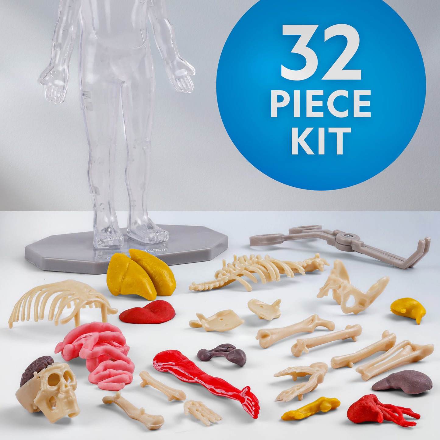 NG Human Body Science Kit