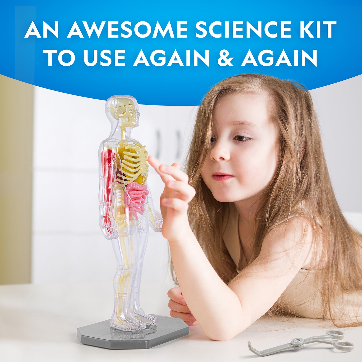 NG Human Body Science Kit
