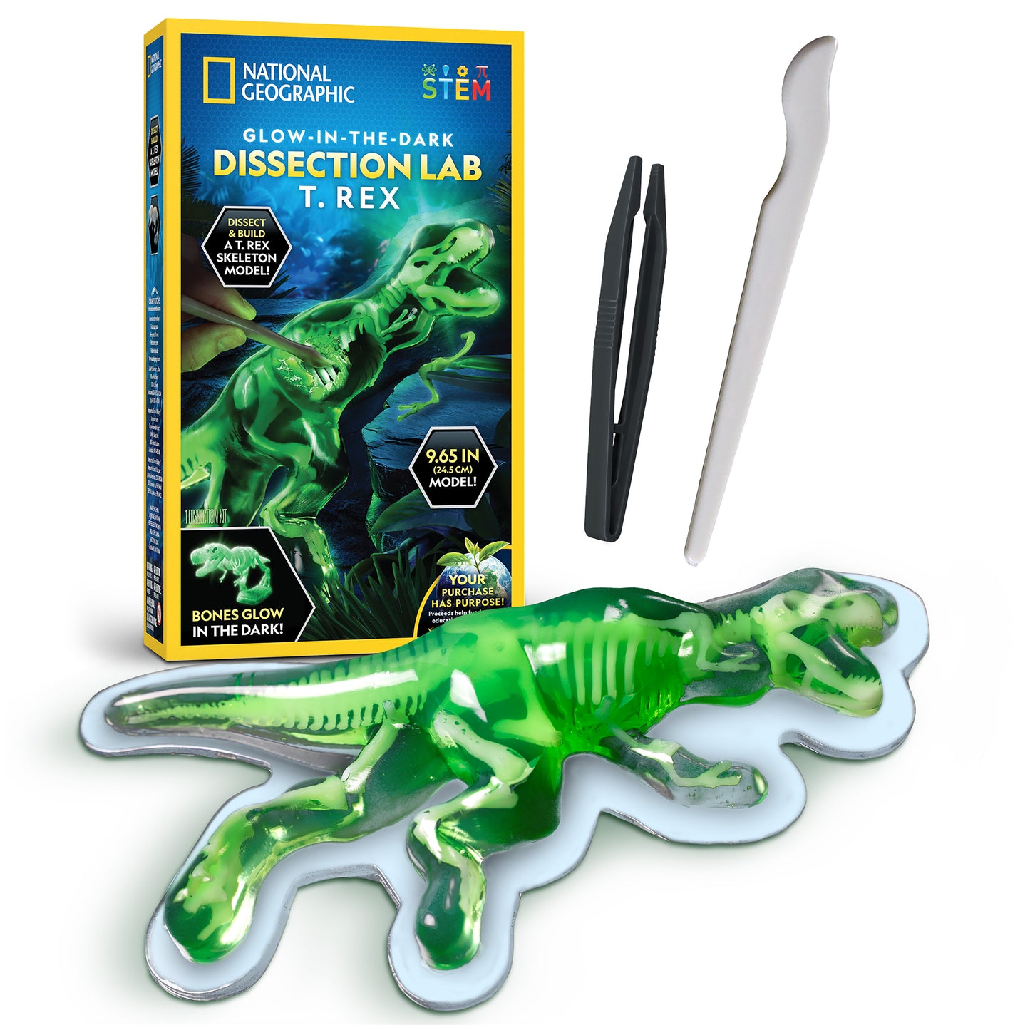 NG GID T Rex Dissection Lab