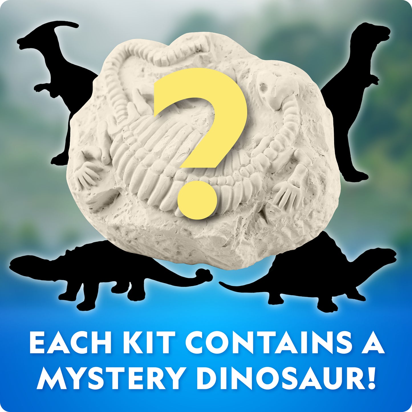 NG Dinosaur Excavation Kit