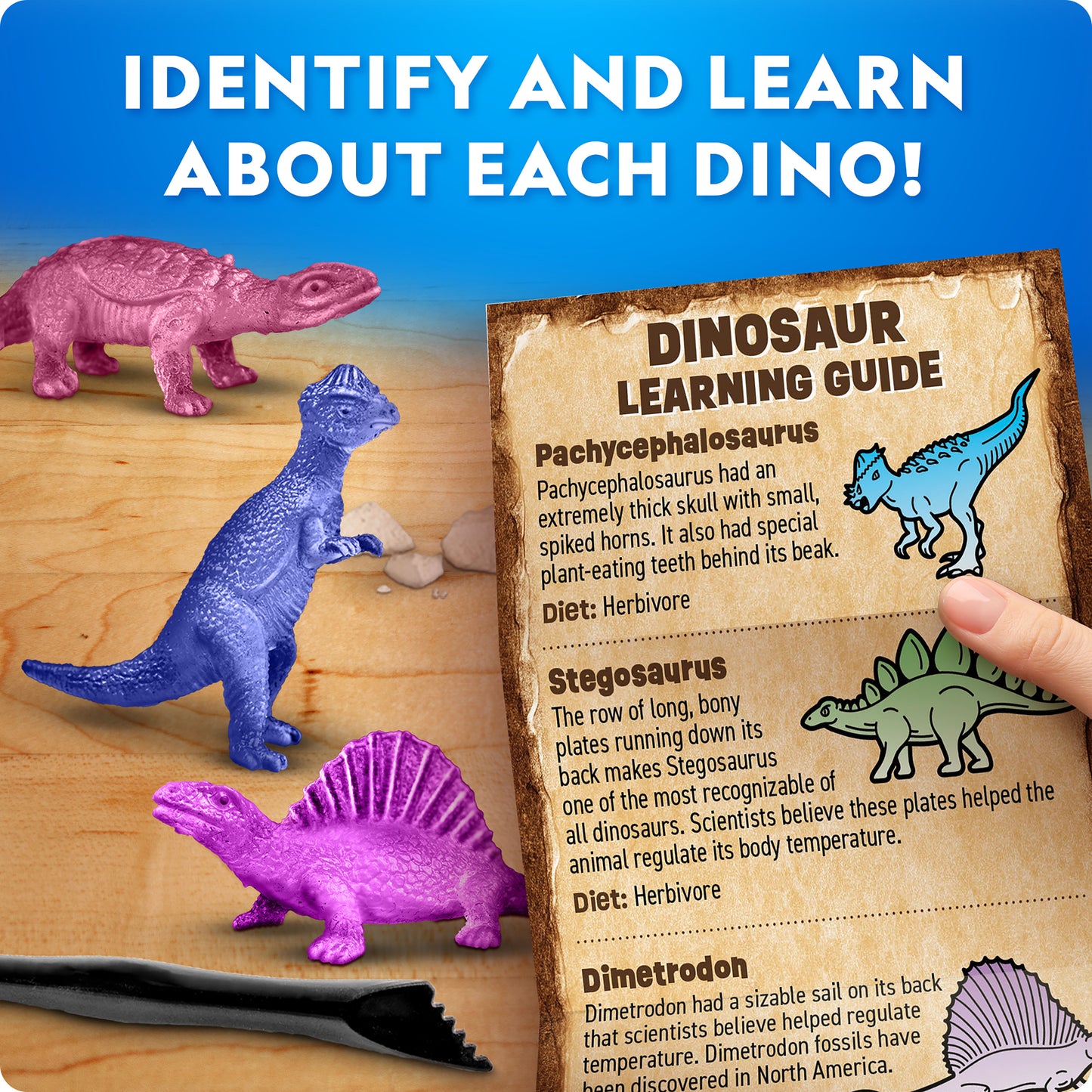 NG Dinosaur Excavation Kit