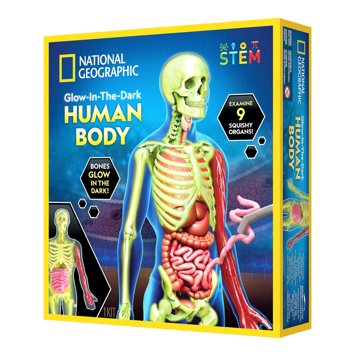 NG Human Body Science Kit