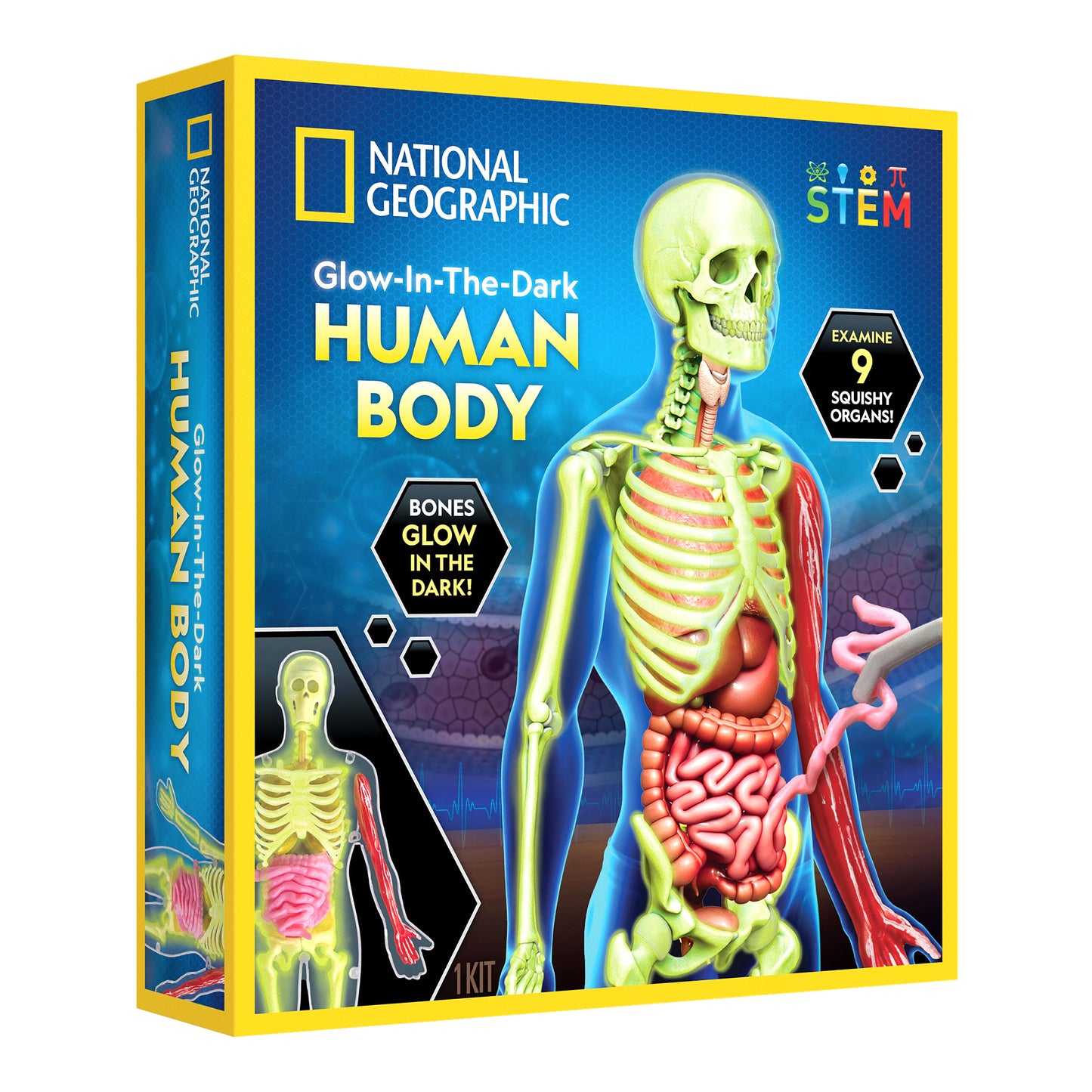 NG Human Body Science Kit