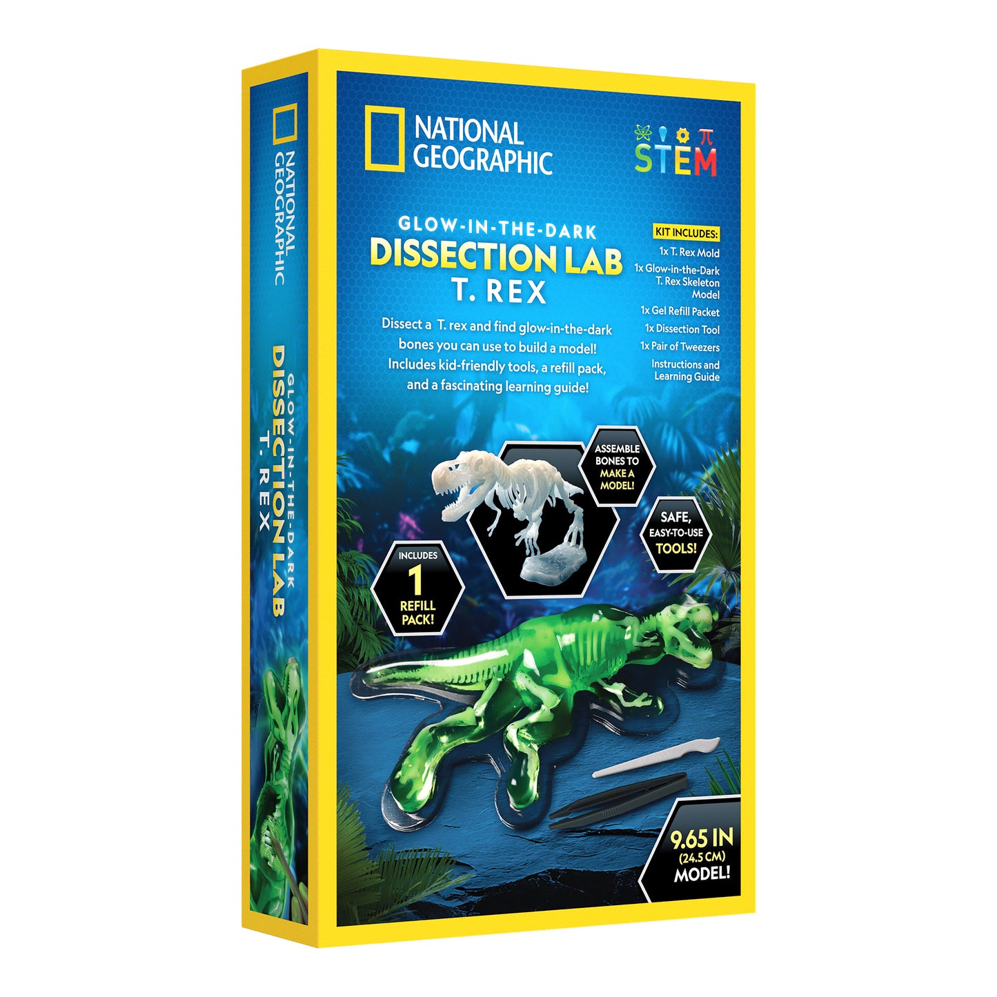 NG GID T Rex Dissection Lab
