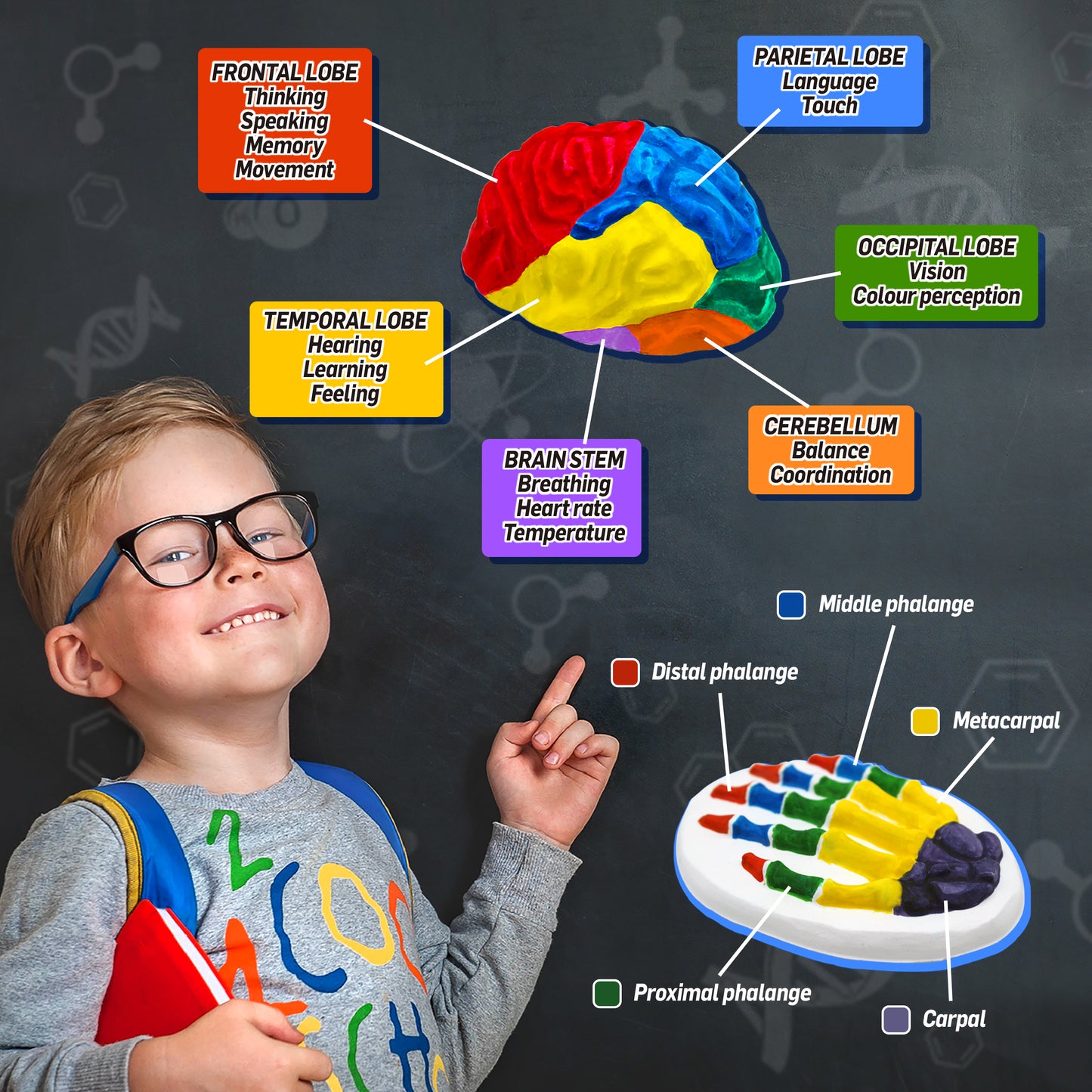 Medical Science