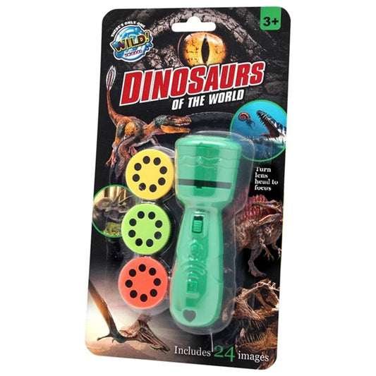 Dinosaurs Torch Projector