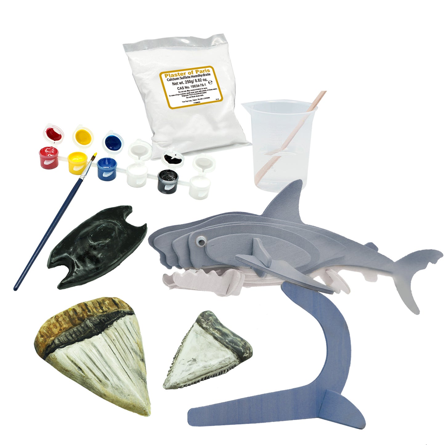Mould, Build & Paint Sharks